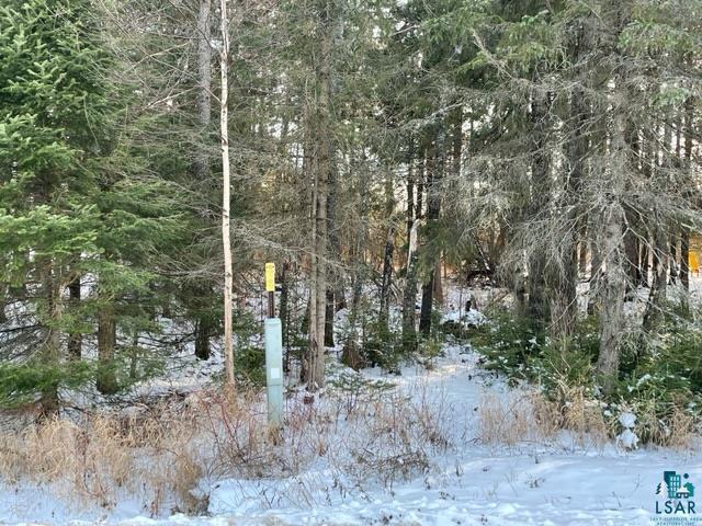 10 East Riverside Road Esko, MN 55733 - Photo 3 of 7 Gallery Image 3