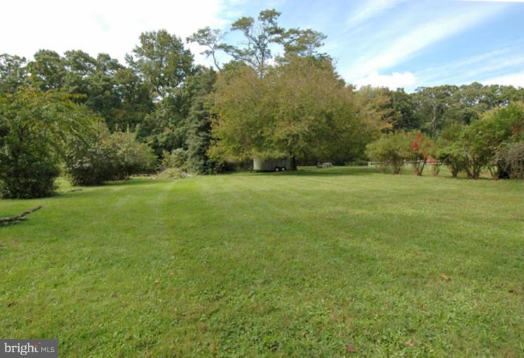 a view of a field with trees in the background