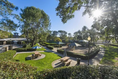 a view of a pathway with a tree in the background