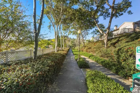 a view of a back yard