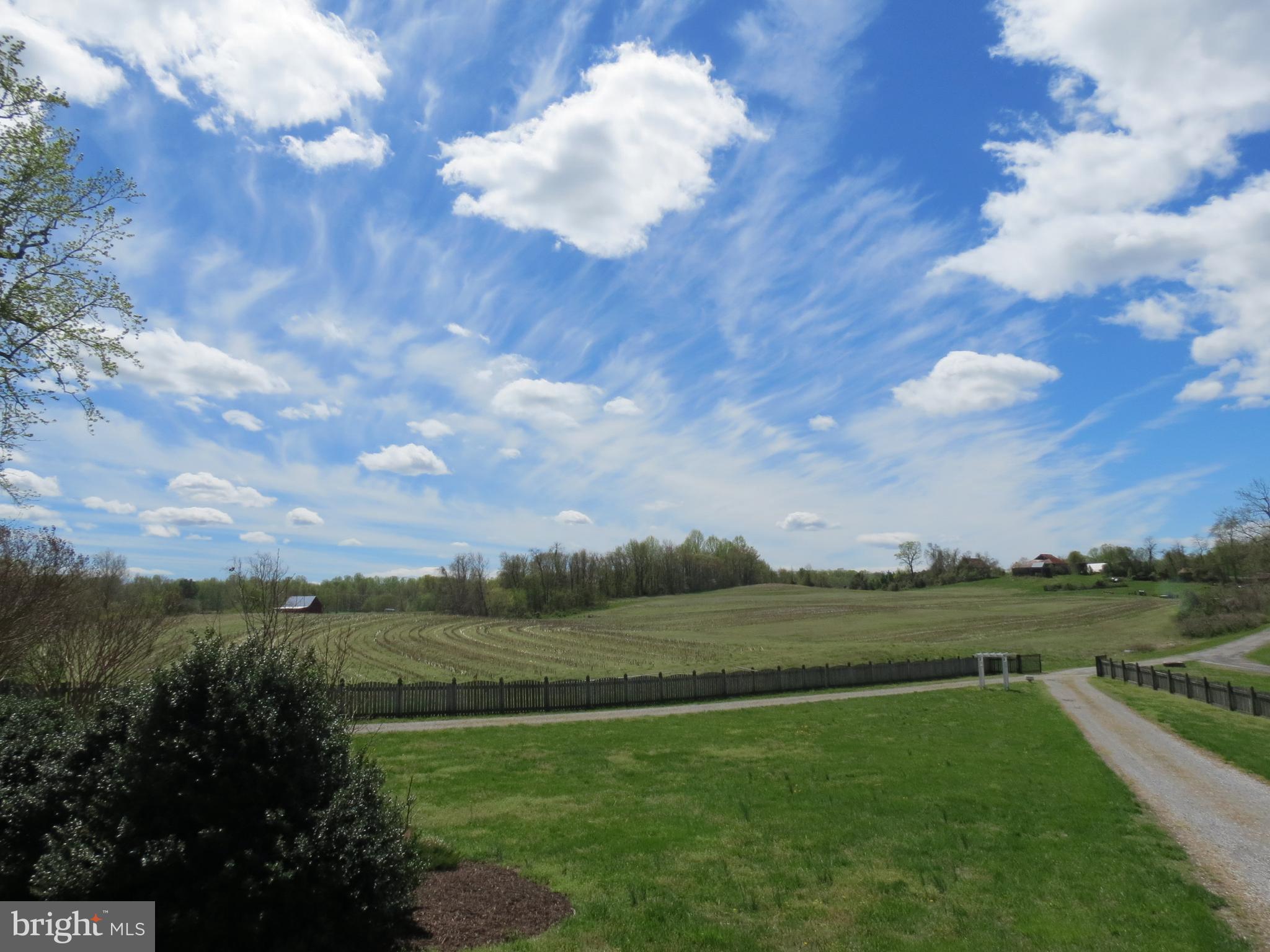 236 Jewell Road Dunkirk, MD 20754 - Photo 2 of 29 Great views from the home