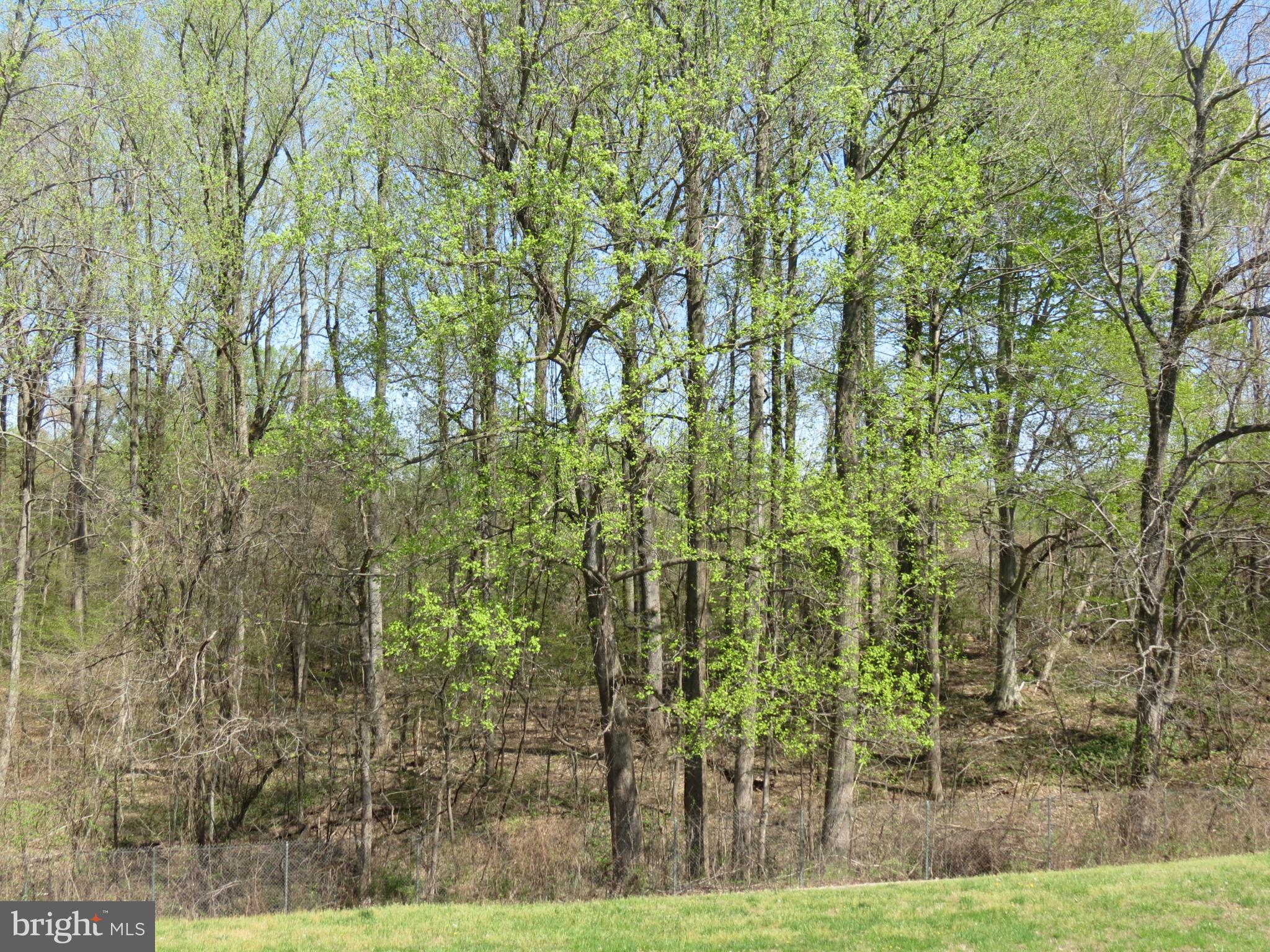 236 Jewell Road Dunkirk, MD 20754 - Photo 6 of 29 View from the large back deck