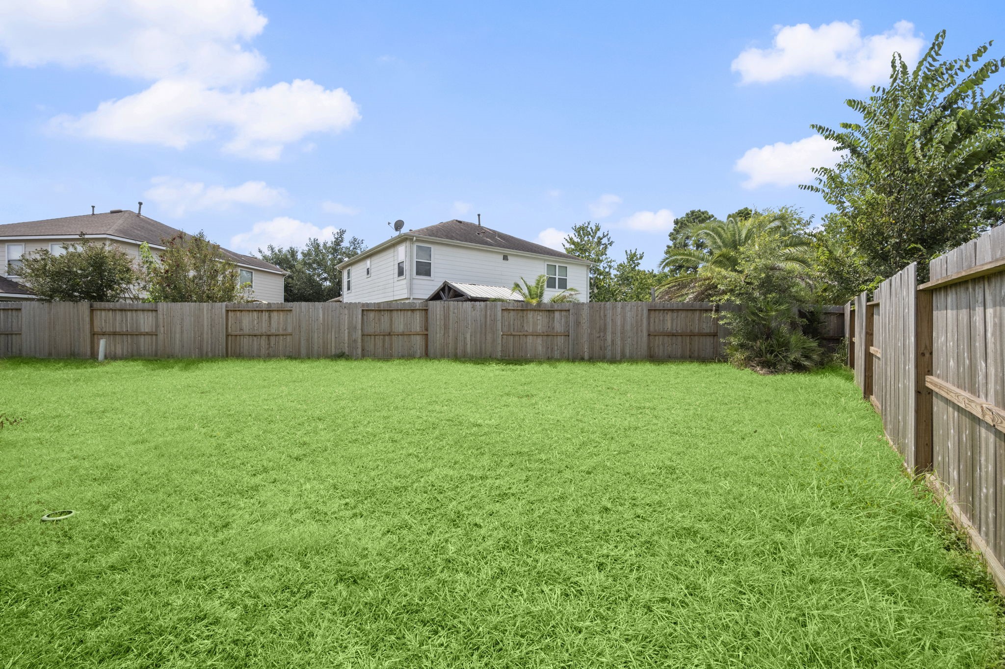 19819 Rippling Brook Lane Tomball, TX 77375 - Photo 28 of 29 a view of a yard with a large tree in front of it