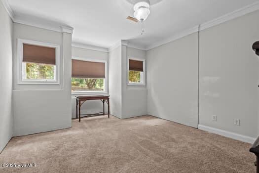 125 Williams Road Southern Pines, NC 28387 - Photo 35 of 65 large-01983d29-21bc-7377-8921-c9e40442fa