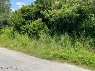 a view of a garden with plants