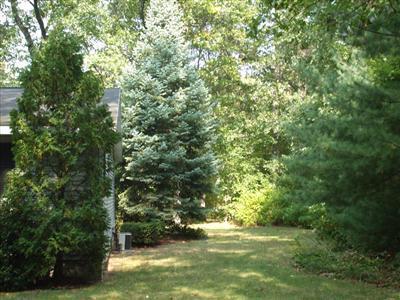 5961 White Road Muskegon, MI 49442 - Photo 18 of 19 Additional Photo