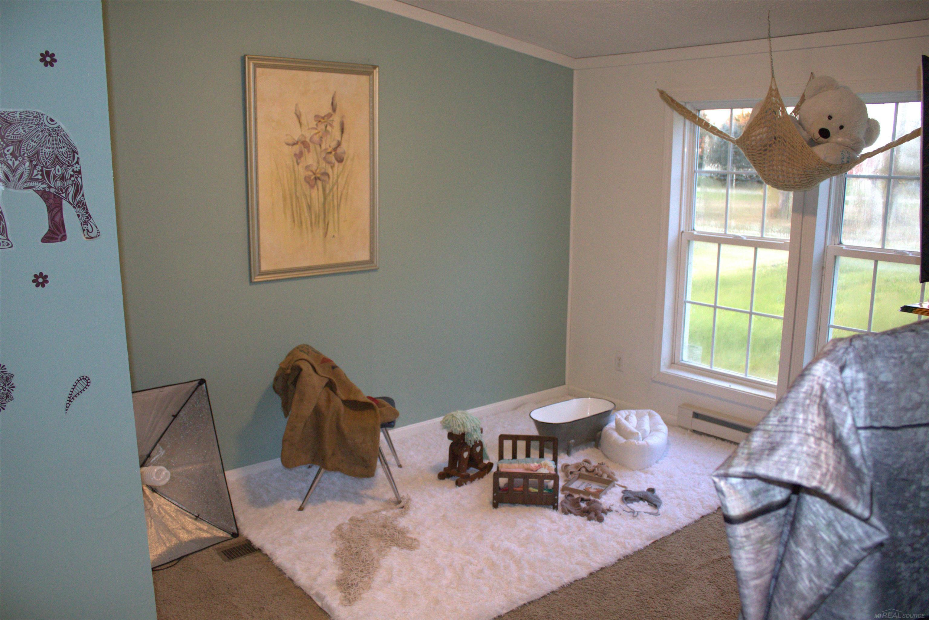 6990 Burns Line Road Lexington, MI 48450 - Photo 14 of 29