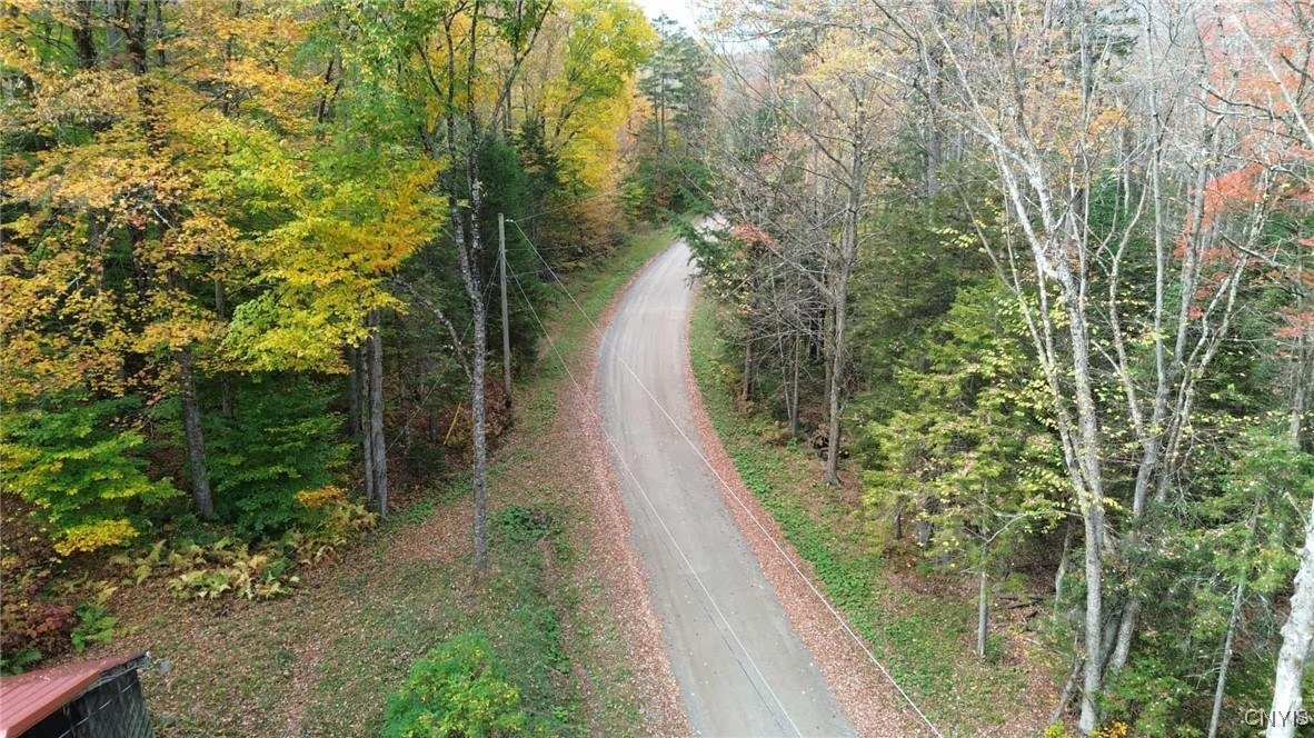 286 California Road Ohio, NY 13324 - Photo 5 of 18