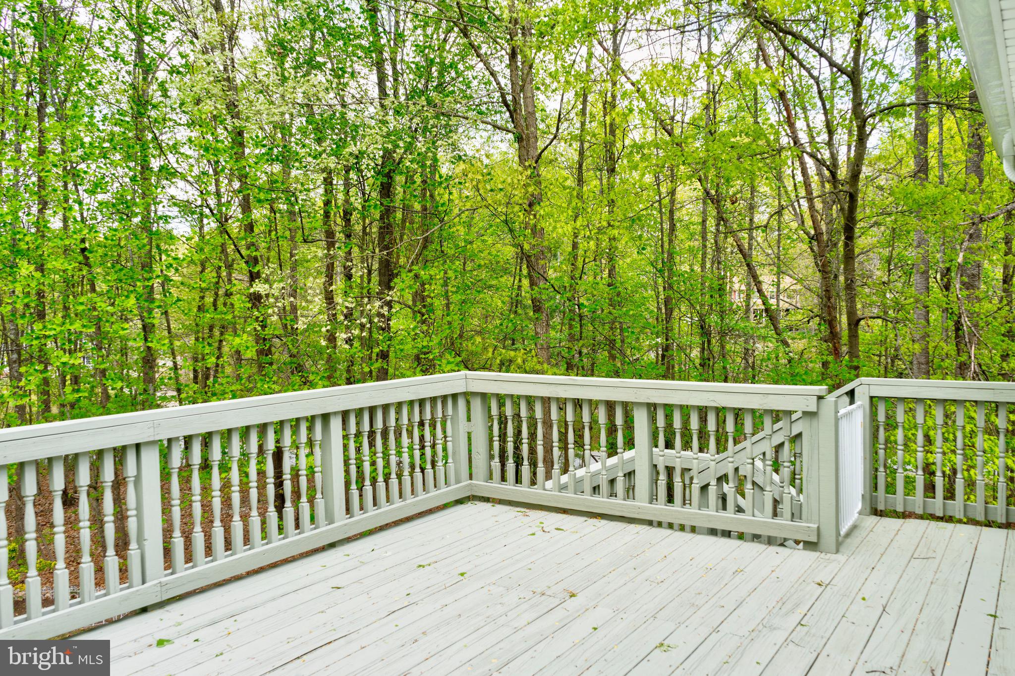 11109 Holly Ridge Lane Ruther Glen, VA 22546 - Photo 22 of 41 Gallery Image 22