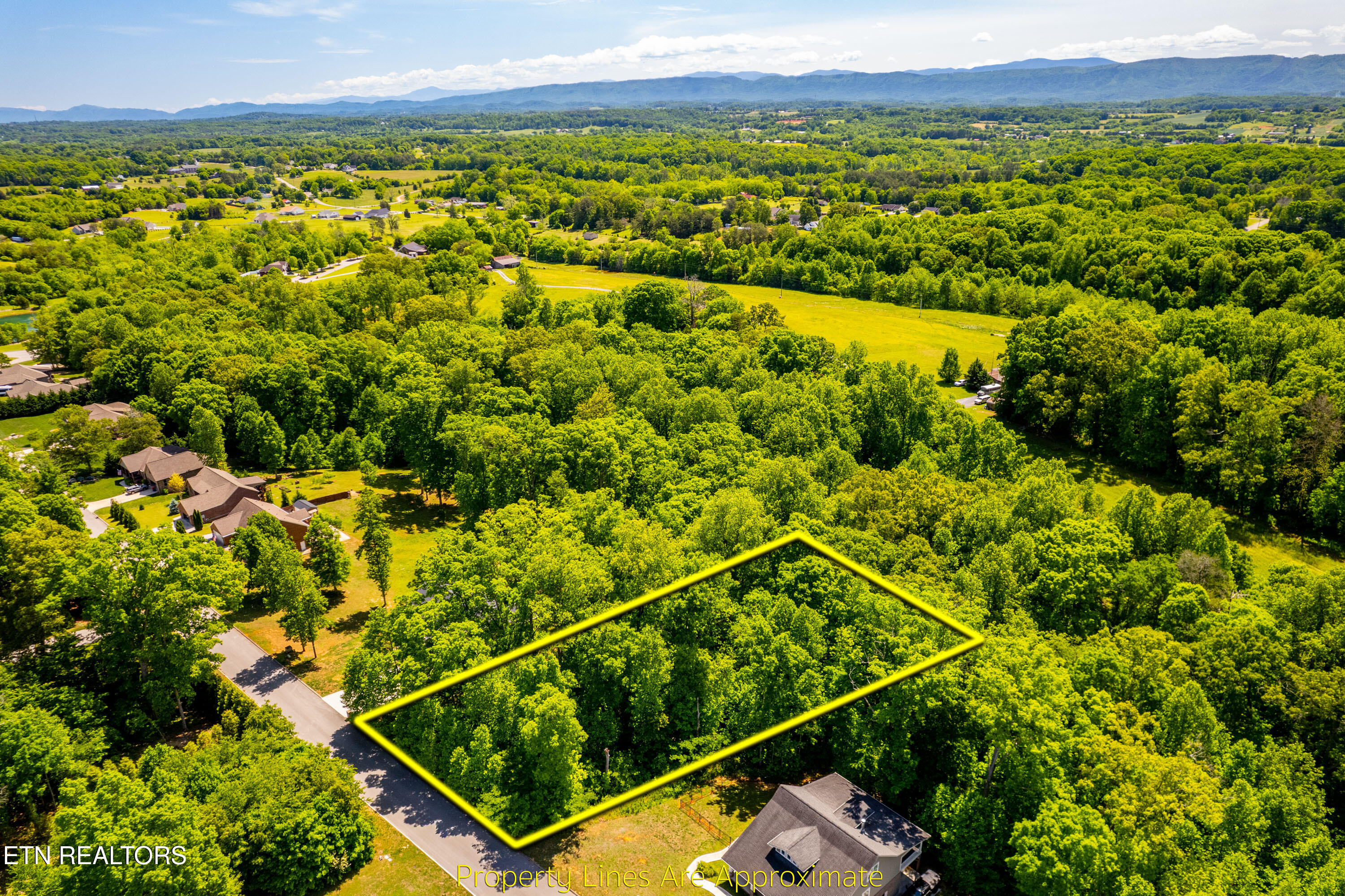 1055 Houston Springs Road Greenback, TN 37742 - Photo 4 of 21 1055HoustonSpringsRd-5