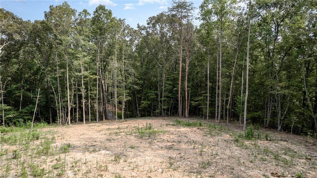 0 Low Bridge Road Franklinville, NC 27248 - Photo 7 of 13