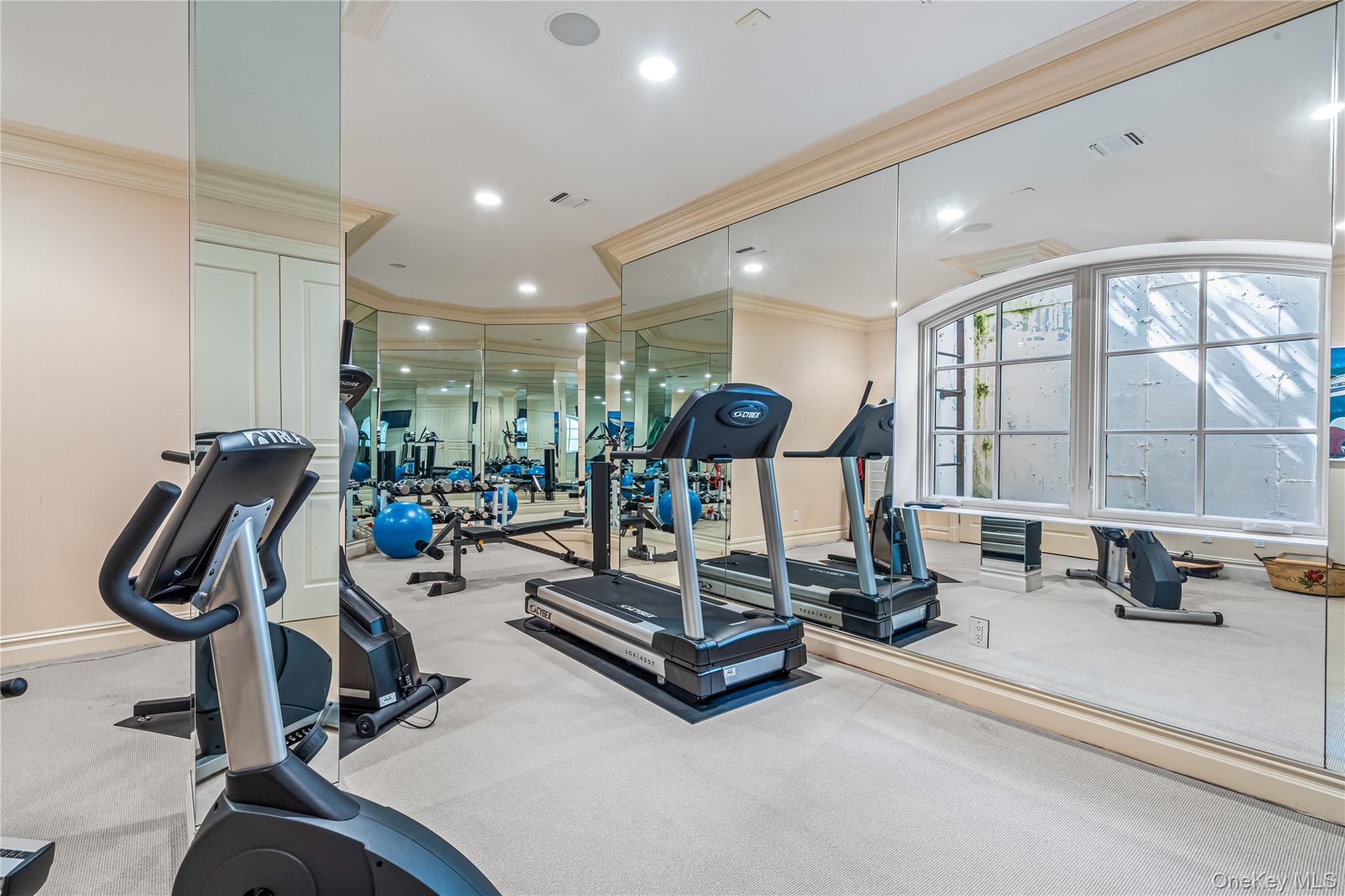 167 Brookville Road Glen Head, NY 11545 - Photo 23 of 31 Gym fully equipped, with wall mirrors