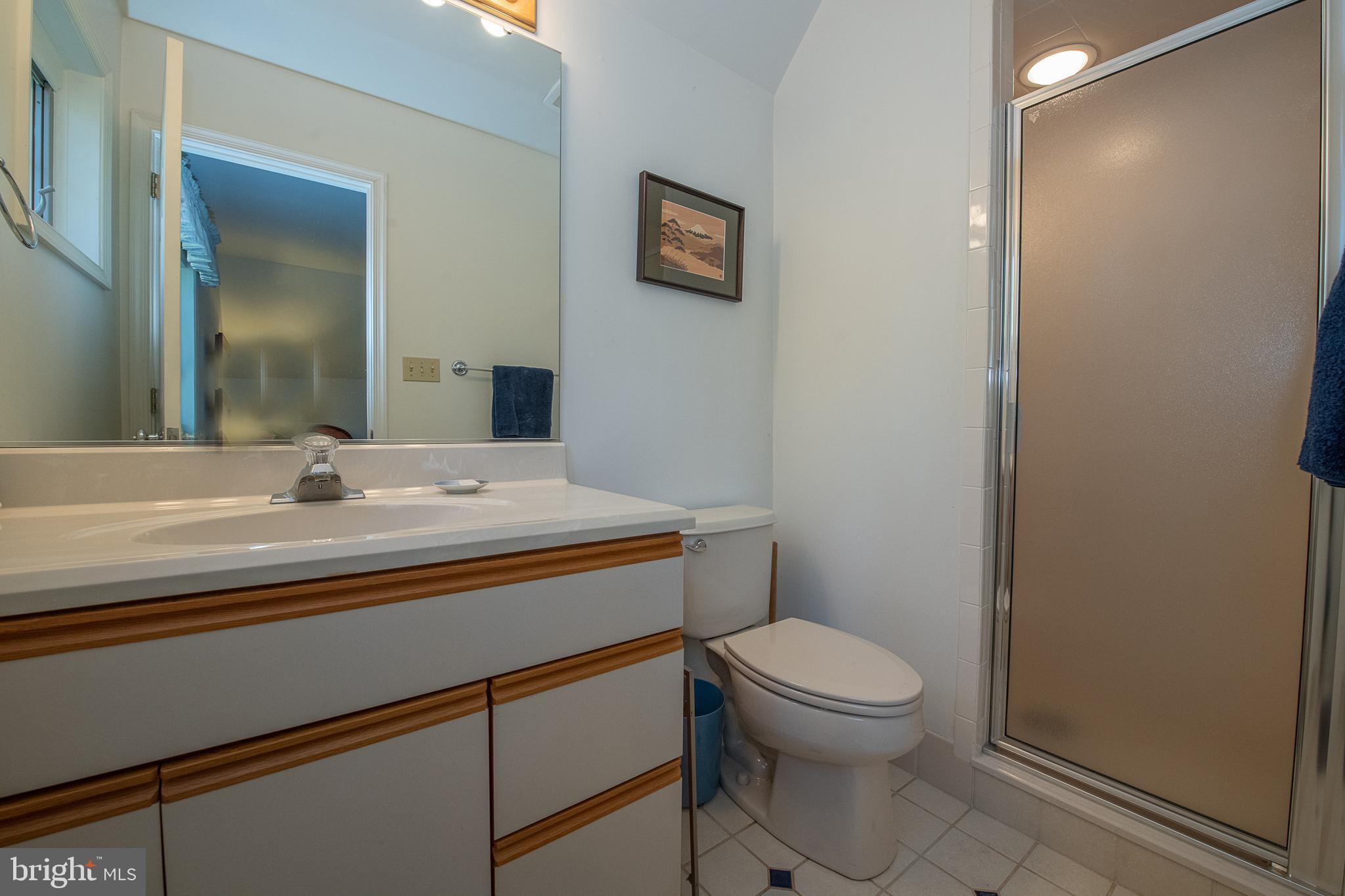 411 Chester Road Devon, PA 19333 - Photo 41 of 48 Third full hall bath with skylight