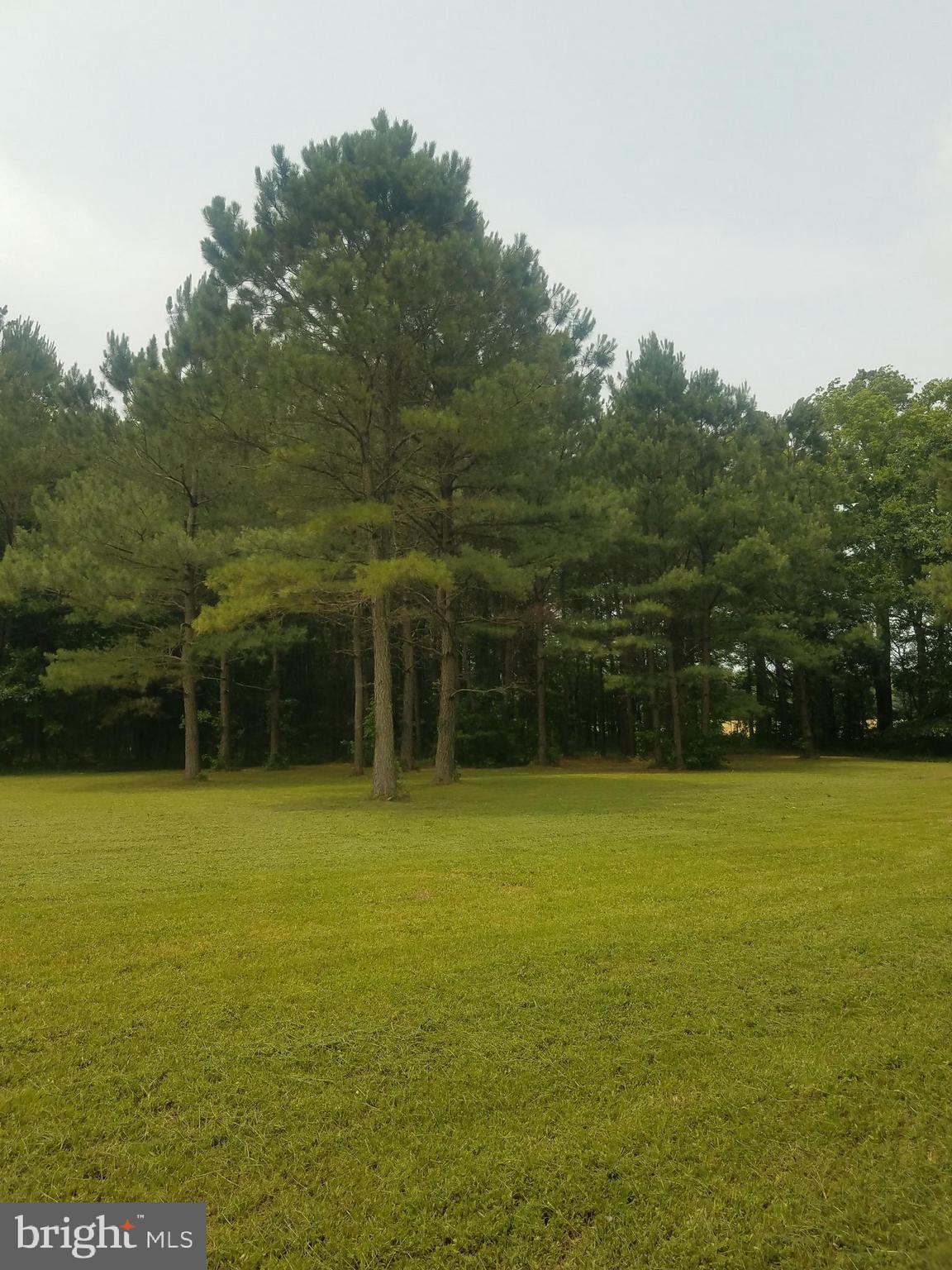 1615 Colona Road Pocomoke City, MD 21851 - Photo 2 of 18 Gallery Image 2