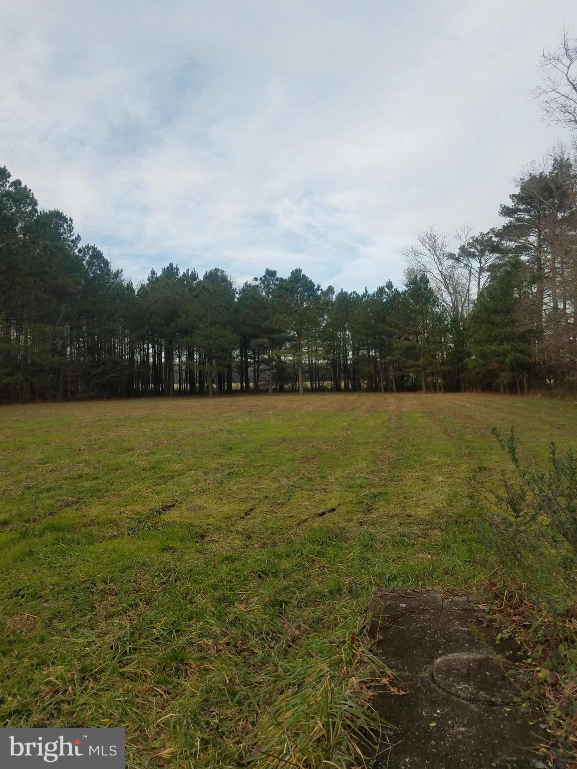 1615 Colona Road Pocomoke City, MD 21851 - Photo 11 of 18 Looking down the right hand side.