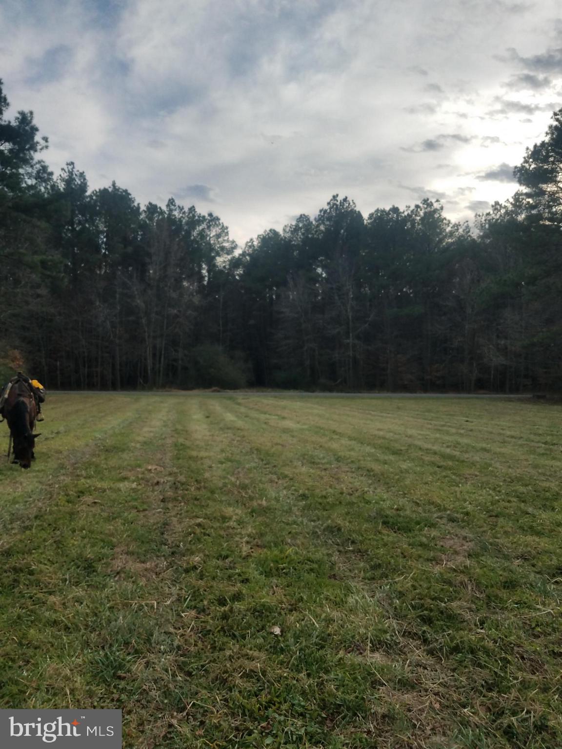 1615 Colona Road Pocomoke City, MD 21851 - Photo 12 of 18 Looking from the back of the land towards the road