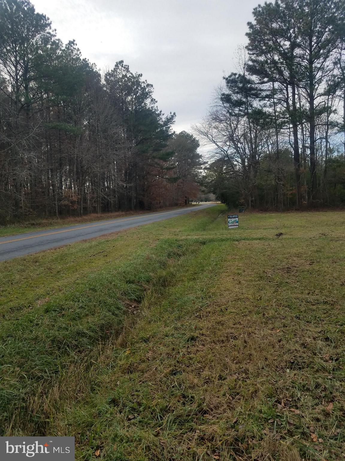 1615 Colona Road Pocomoke City, MD 21851 - Photo 13 of 18 Heading to the river.
