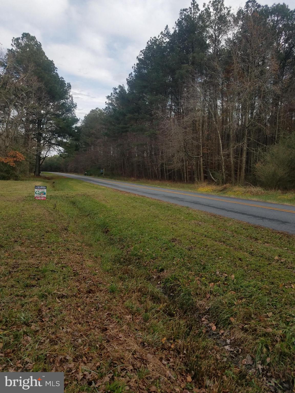 1615 Colona Road Pocomoke City, MD 21851 - Photo 14 of 18 Heading towards town.