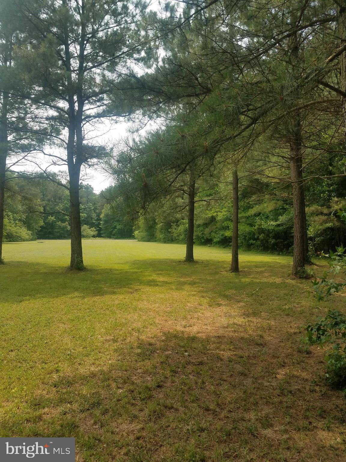 1615 Colona Road Pocomoke City, MD 21851 - Photo 3 of 18 Gallery Image 3