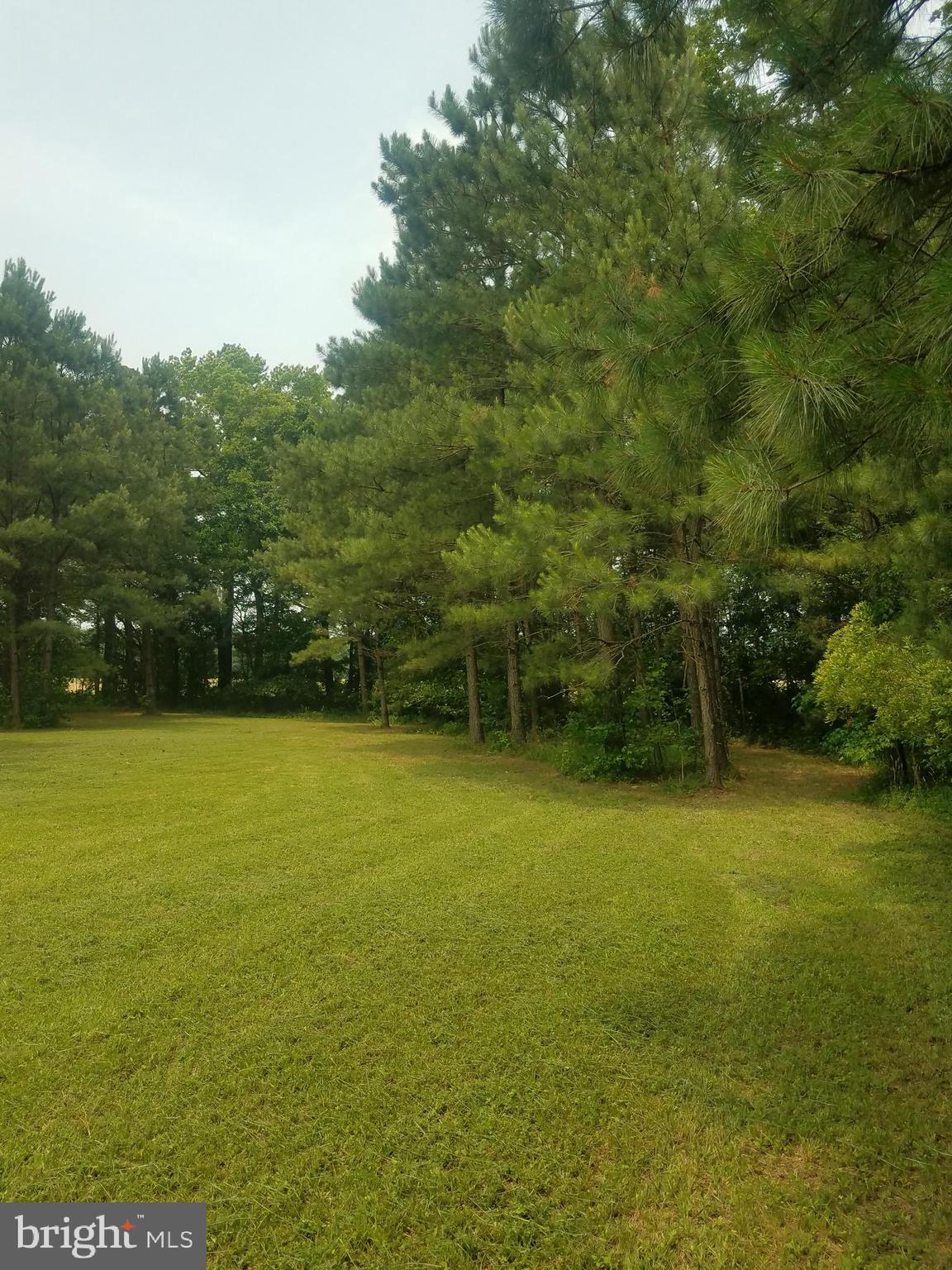 1615 Colona Road Pocomoke City, MD 21851 - Photo 5 of 18 Gallery Image 5