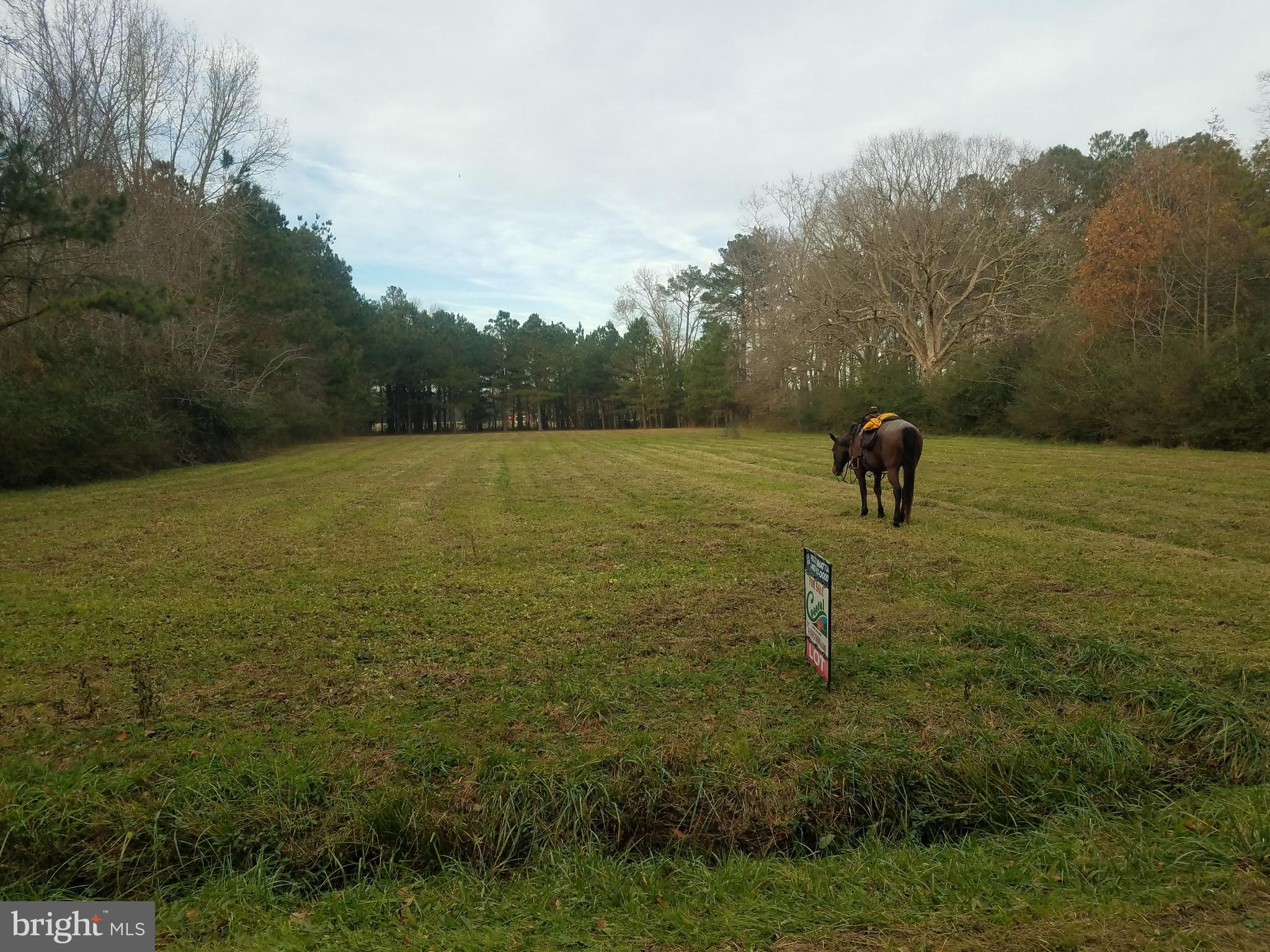 1615 Colona Road Pocomoke City, MD 21851 - Photo 10 of 18 Looking at the lot head on, standing on Colona Rd.