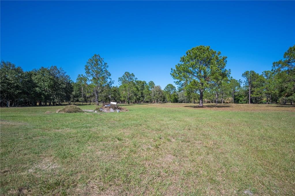 2525 Ranchland Acres Road Lakeland, FL 33809 - Photo 8 of 68
