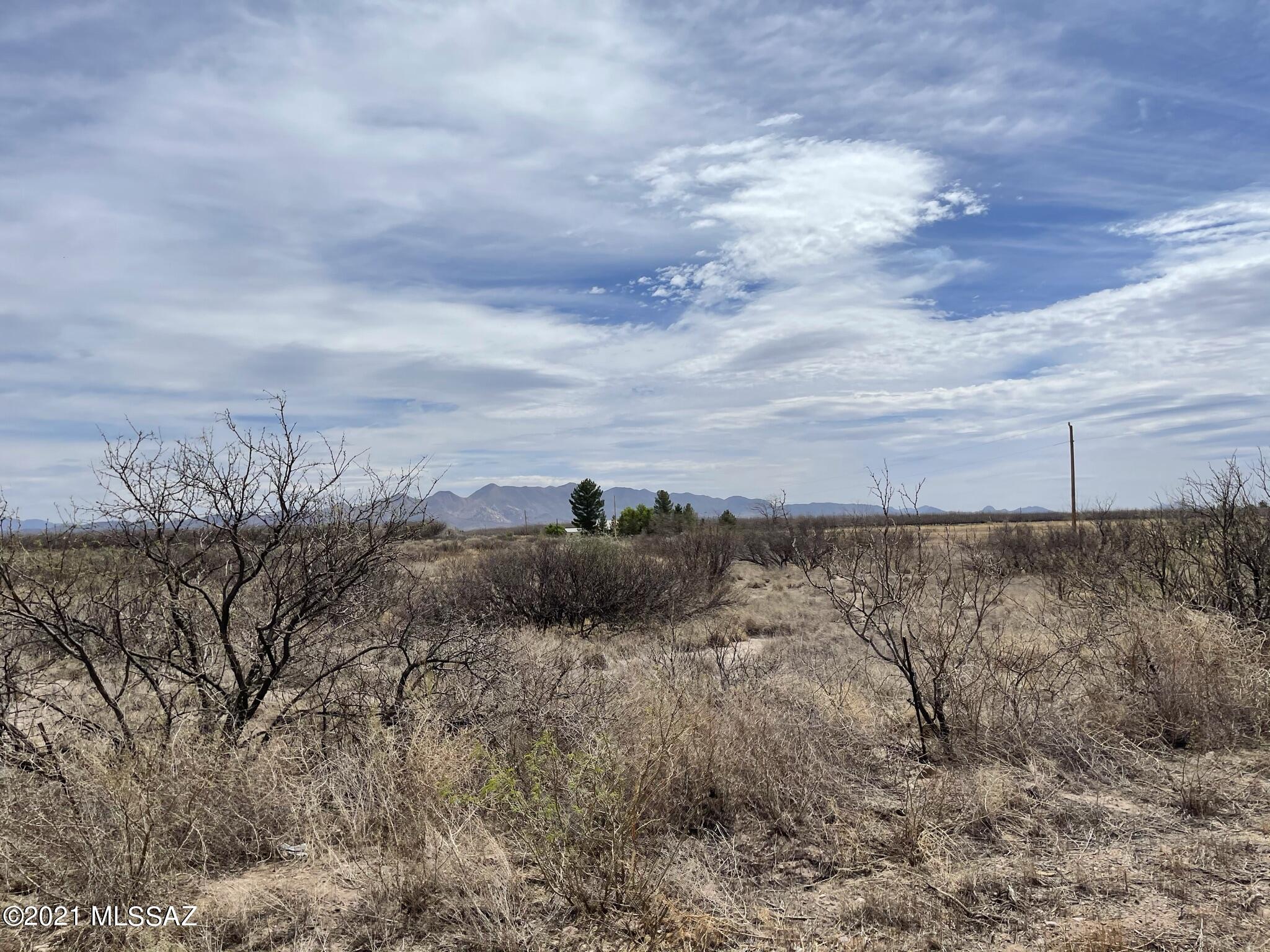 North Martineau Road Elfrida, AZ 85610 - Photo 5 of 6