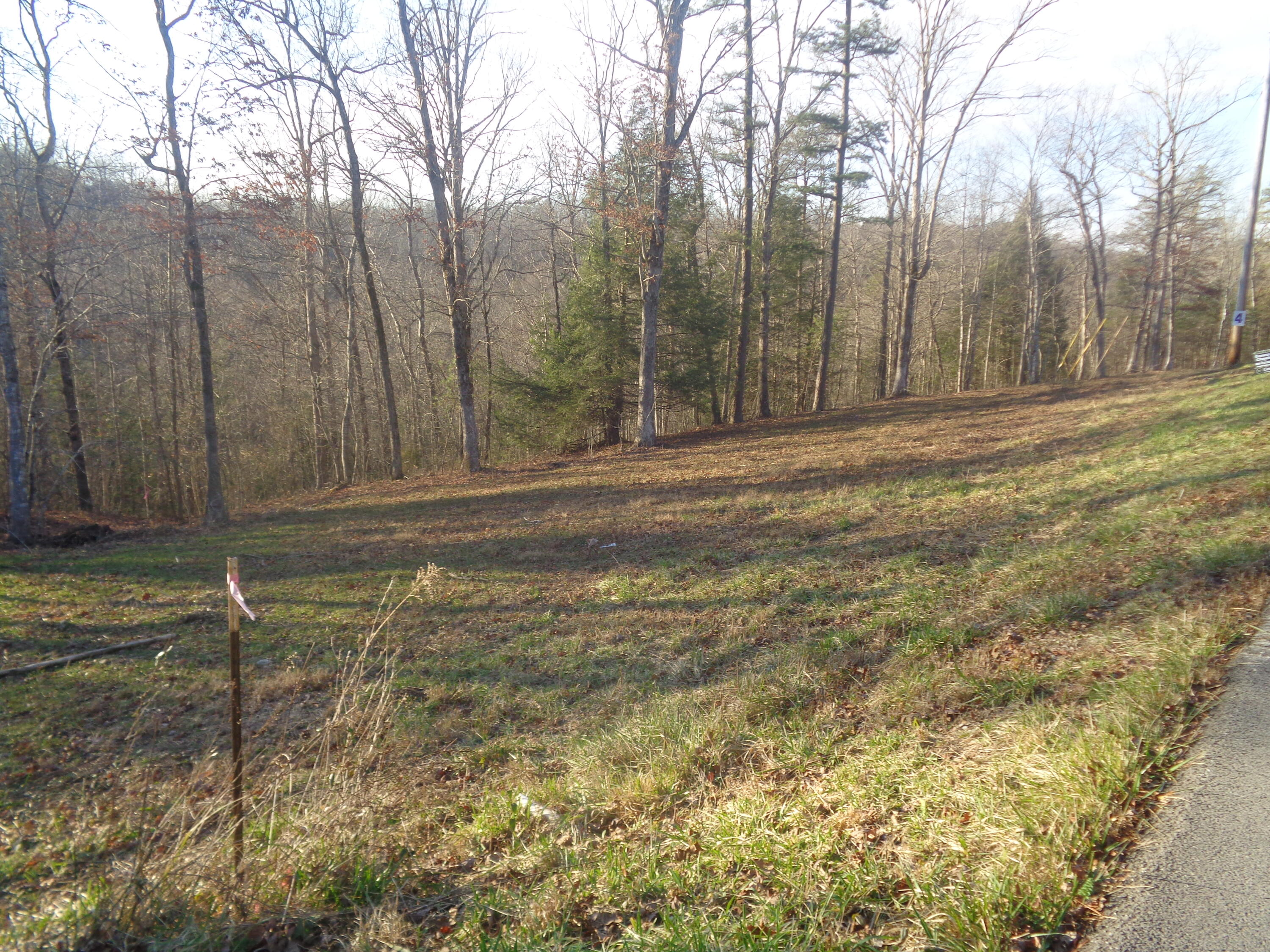 Lot 4 Fount Hubbard Road London, KY 40741 - Photo 10 of 32 DSC07464