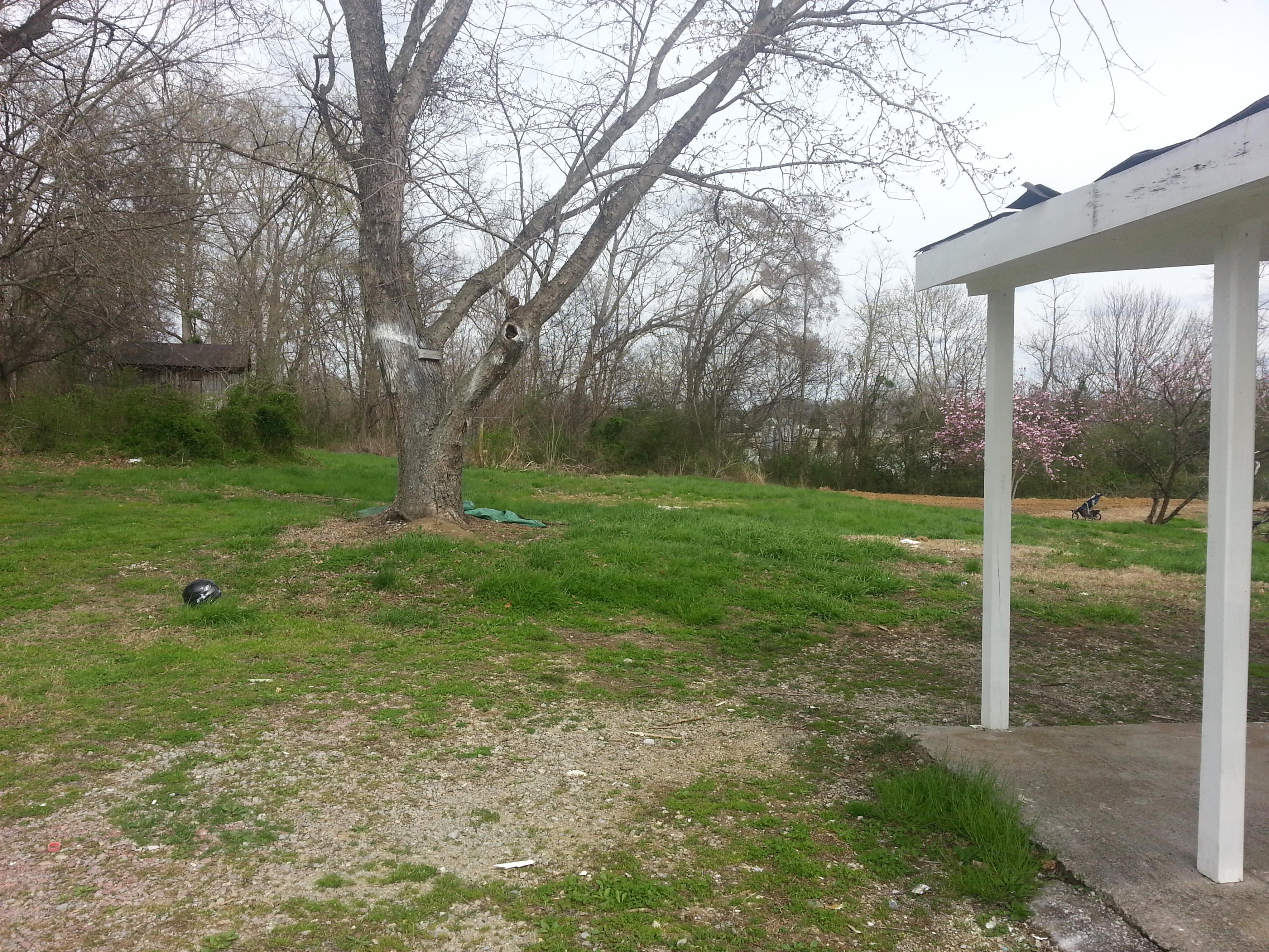 629 Jena Road Greenback, TN 37742 - Photo 12 of 12 20150326_160319.jpg