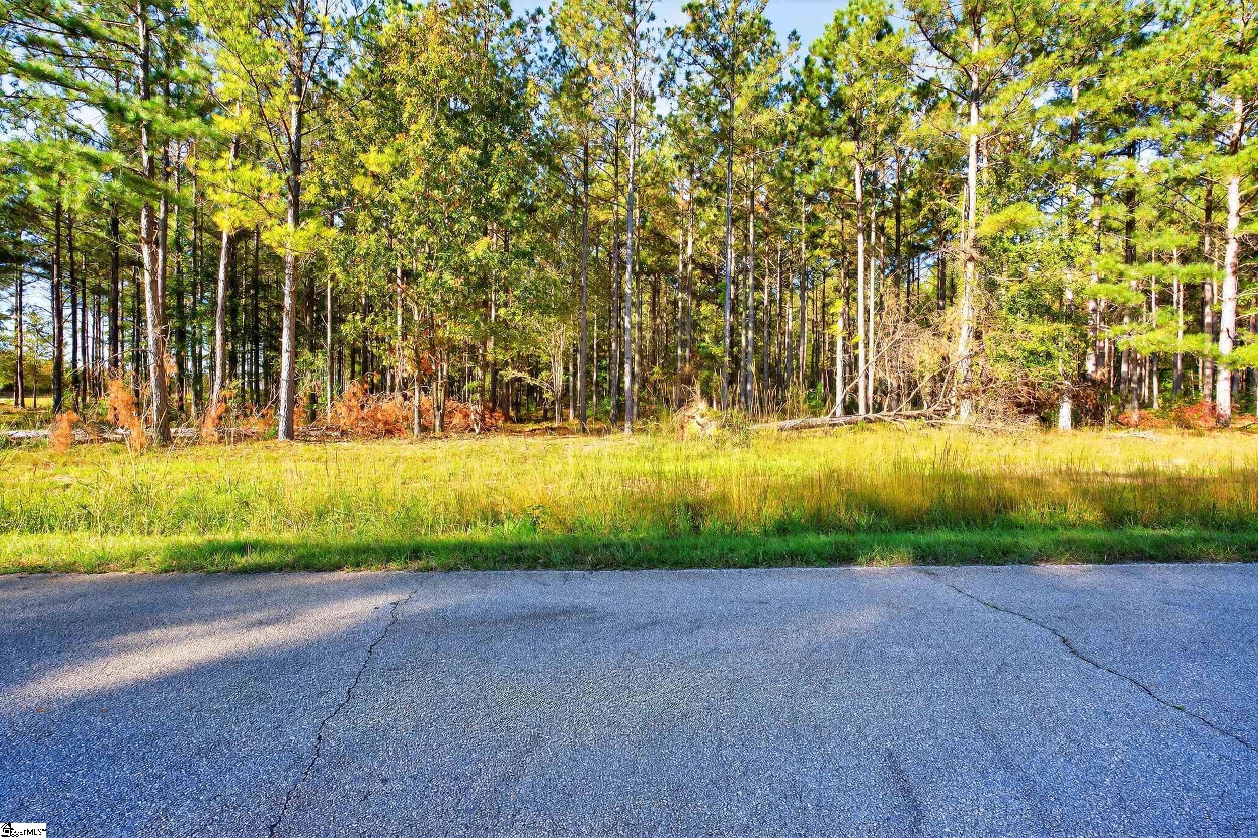 8 Garlington Road Cross Hill, SC 29332 - Photo 13 of 13