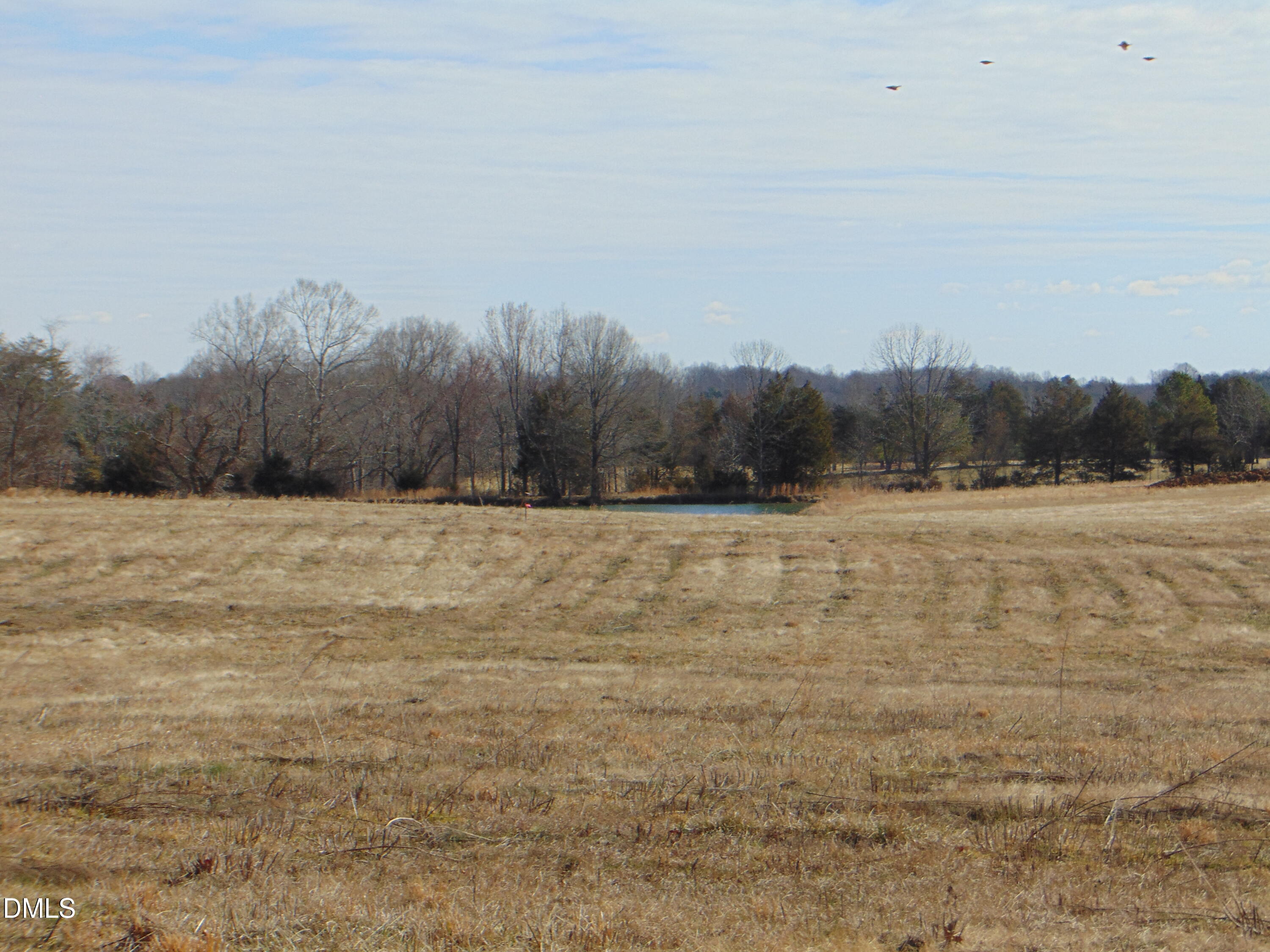 0 Barnett Road Burlington, NC 27217 - Photo 32 of 47 DSC01369