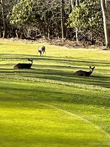 a view of an ocean view