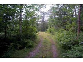 0 Brook Rd Old Province Road Goshen, NH 03752 - Photo 2 of 3
