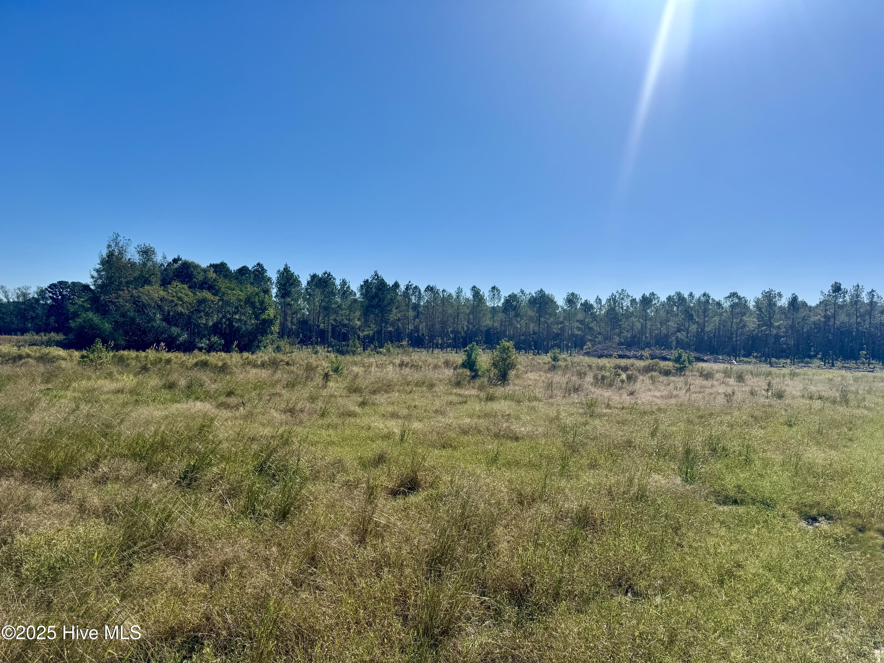 0 Old Fayetteville Road Garland, NC 28441 - Photo 2 of 7 IMG_2624