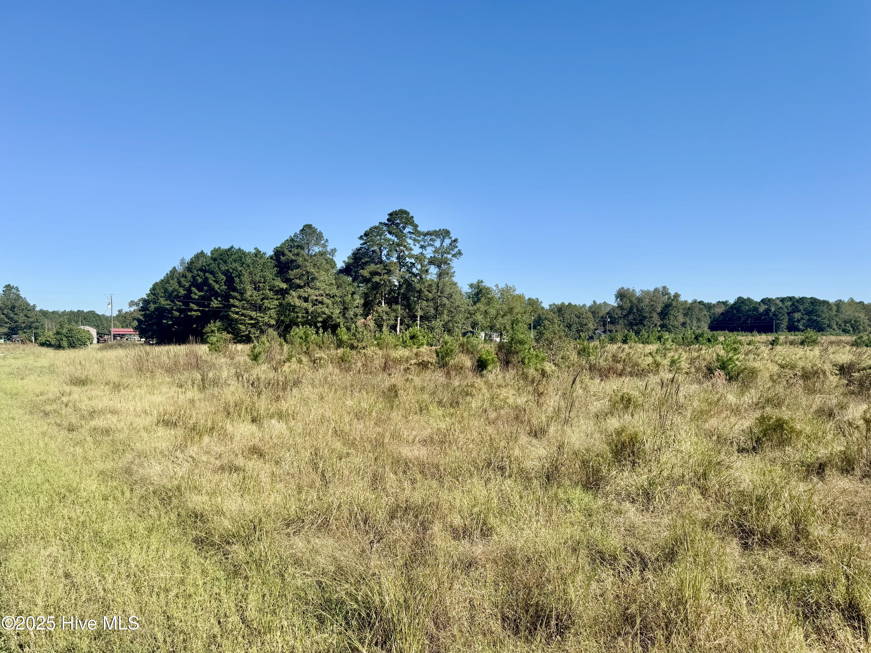 0 Old Fayetteville Road Garland, NC 28441 - Photo 3 of 7 IMG_2625