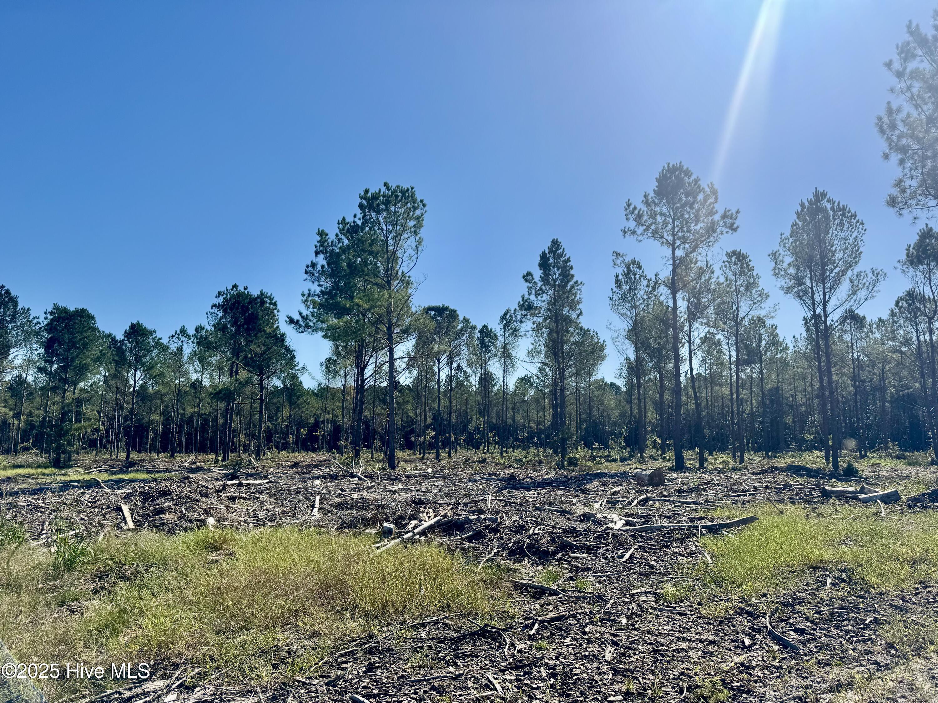 0 Old Fayetteville Road Garland, NC 28441 - Photo 4 of 7 IMG_2626