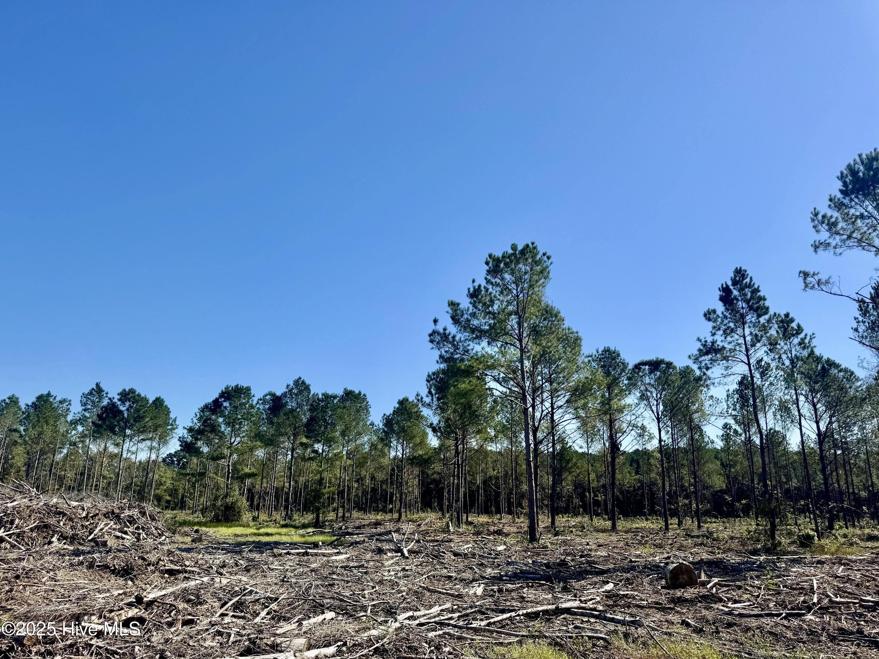 0 Old Fayetteville Road Garland, NC 28441 - Photo 5 of 7 IMG_2627