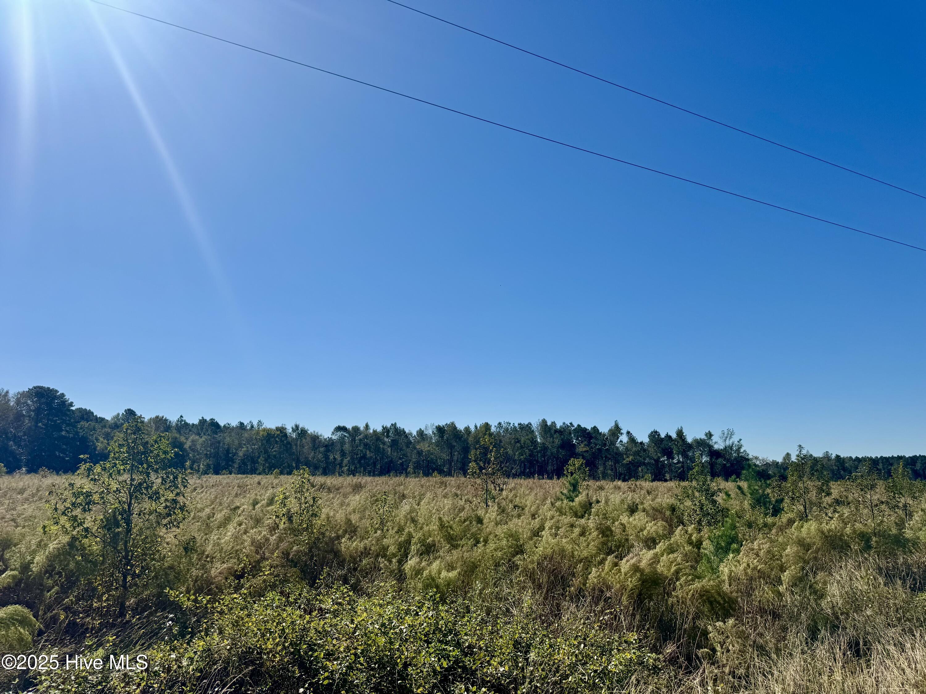 0 Old Fayetteville Road Garland, NC 28441 - Photo 7 of 7 IMG_2632