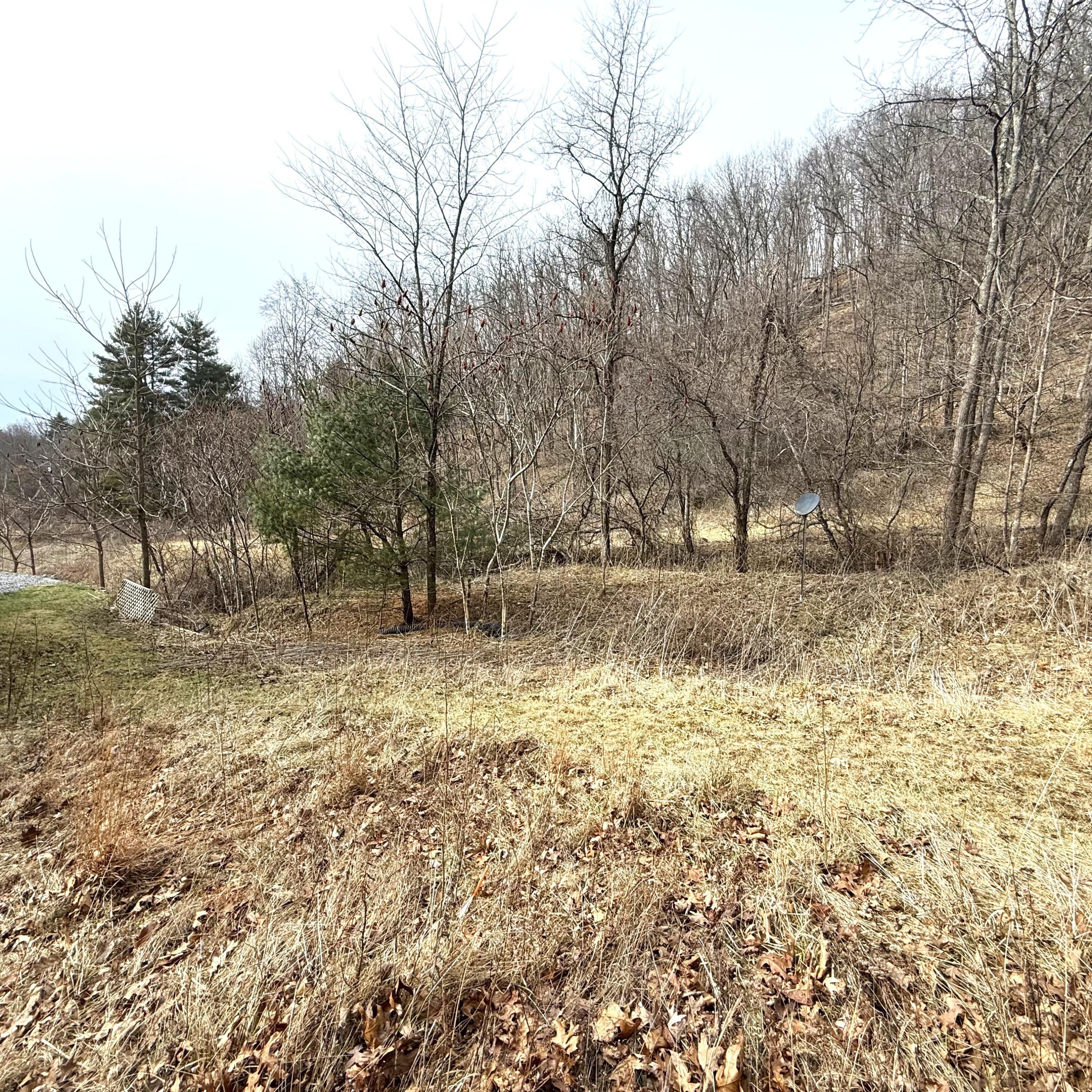 3259 Julia Road Renick, WV 24966 - Photo 34 of 37 IMG_7867 (002)