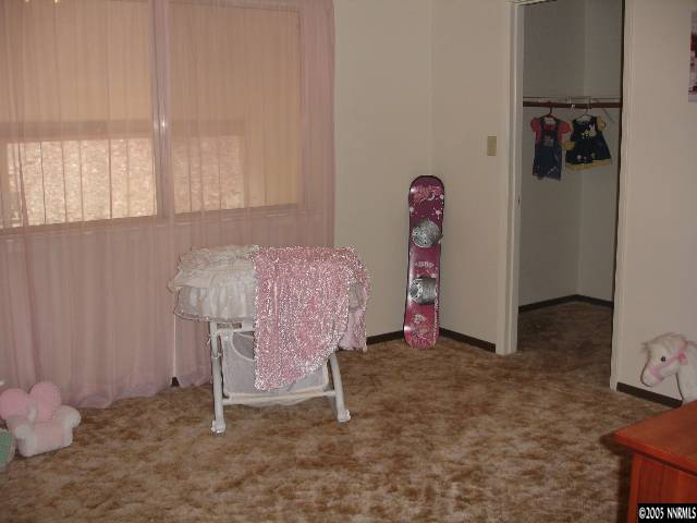 3716 Rock Road Wellington, NV 89444 - Photo 8 of 9 Photo 8