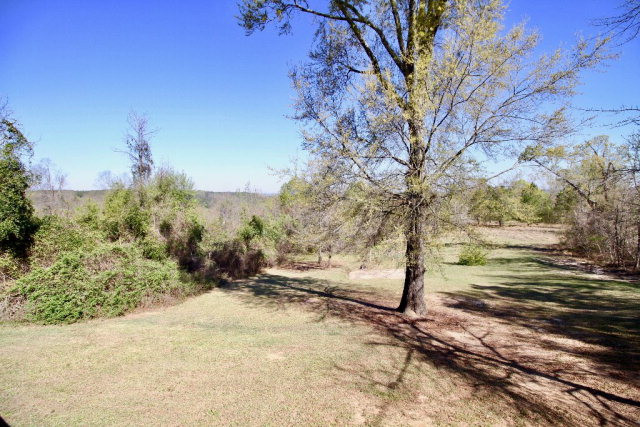 2234 McNutt Road Augusta, GA 30906 - Photo 18 of 19