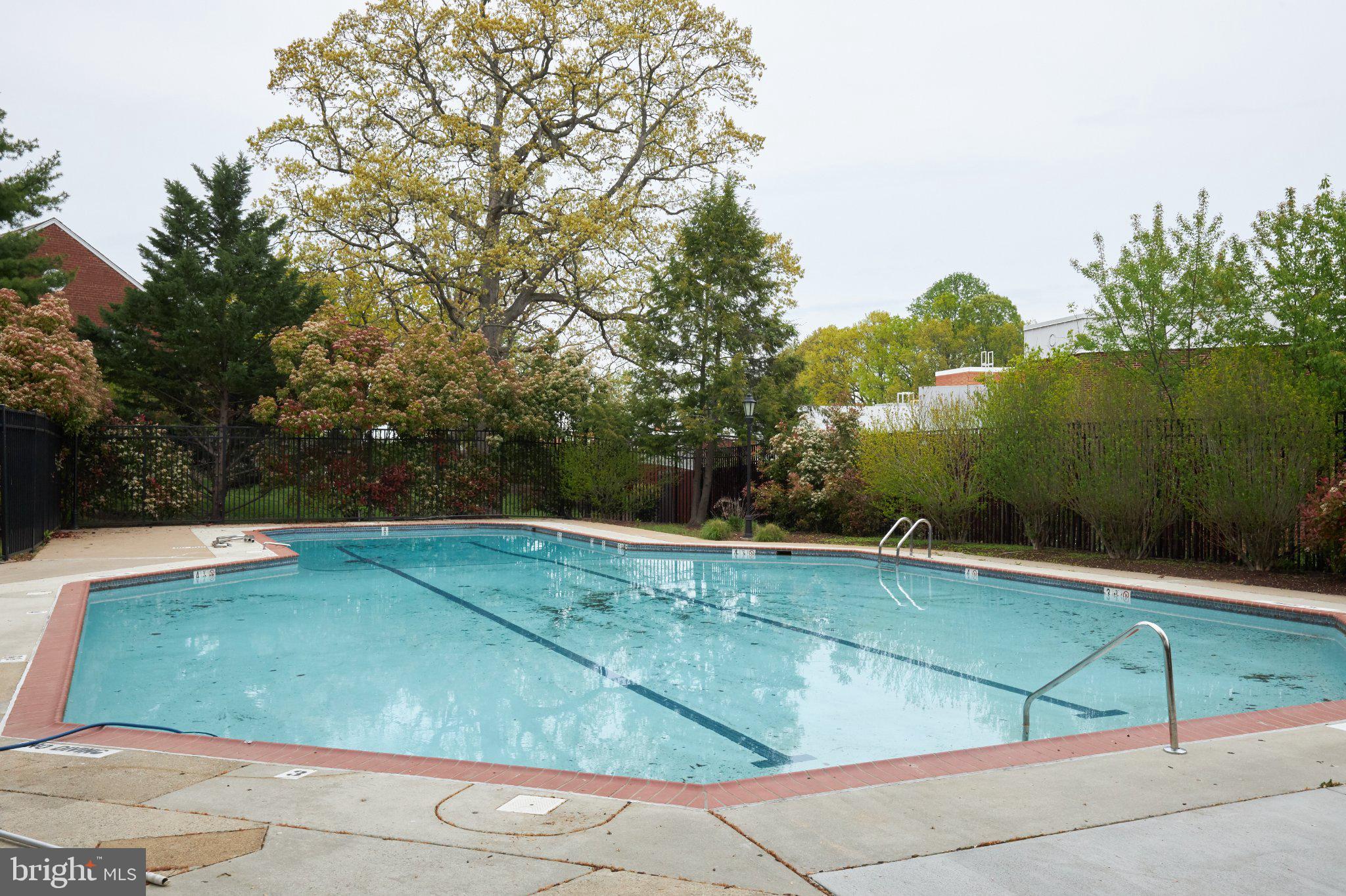 4900 29th Road South, Unit B1 Arlington, VA 22206 - Photo 33 of 56 One of Six Community Pools