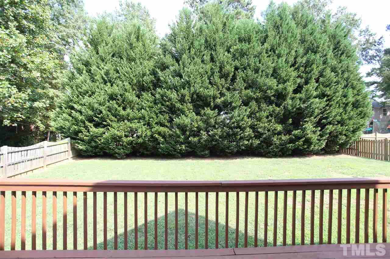 117 Mickleson Ridge Drive Raleigh, NC 27603 - Photo 21 of 25