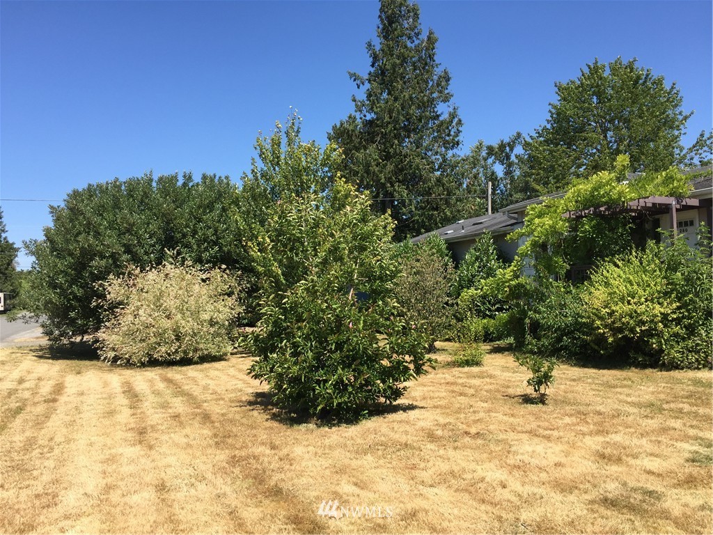 280 Fisk Street Sumas, WA 98295 - Photo 16 of 19 Gallery Image 16