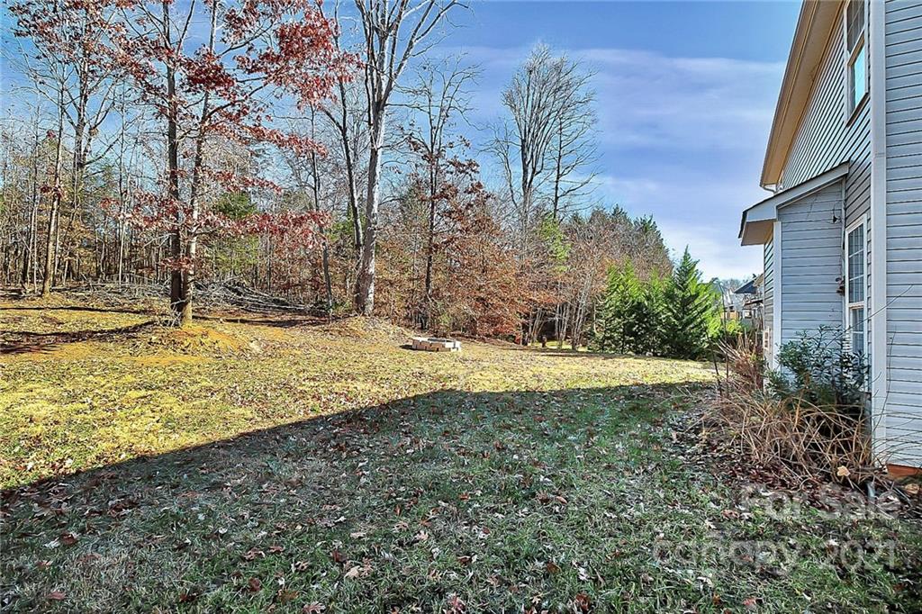 7769 East Berkeley Road Denver, NC 28037 - Photo 30 of 31 a view of a backyard with large trees