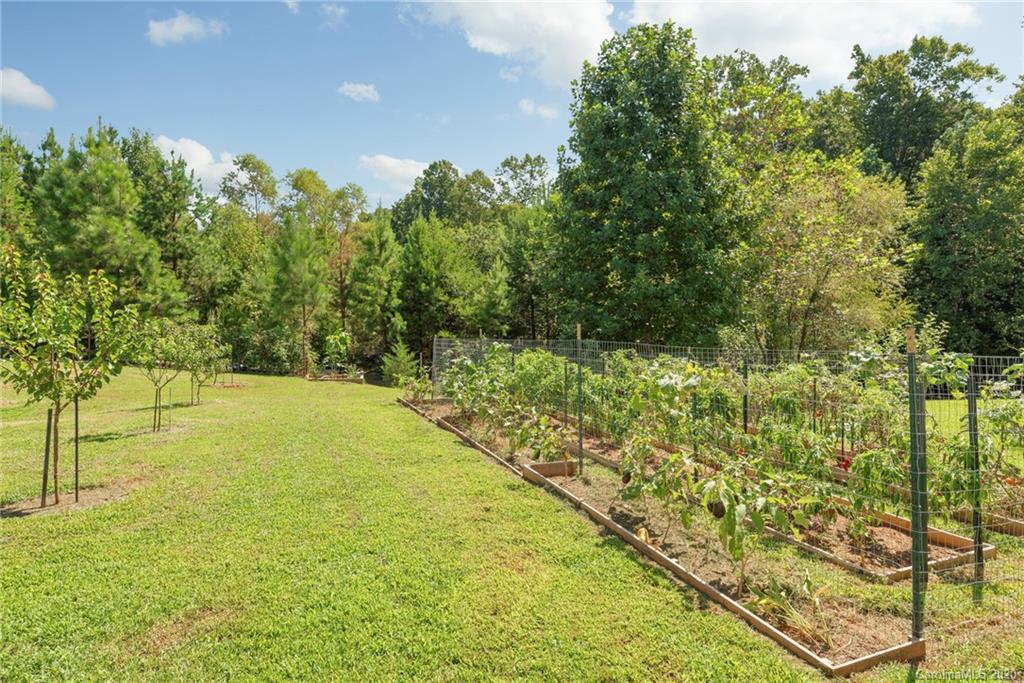 6158 Trotters Ridge Road Charlotte, NC 28227 - Photo 4 of 26
