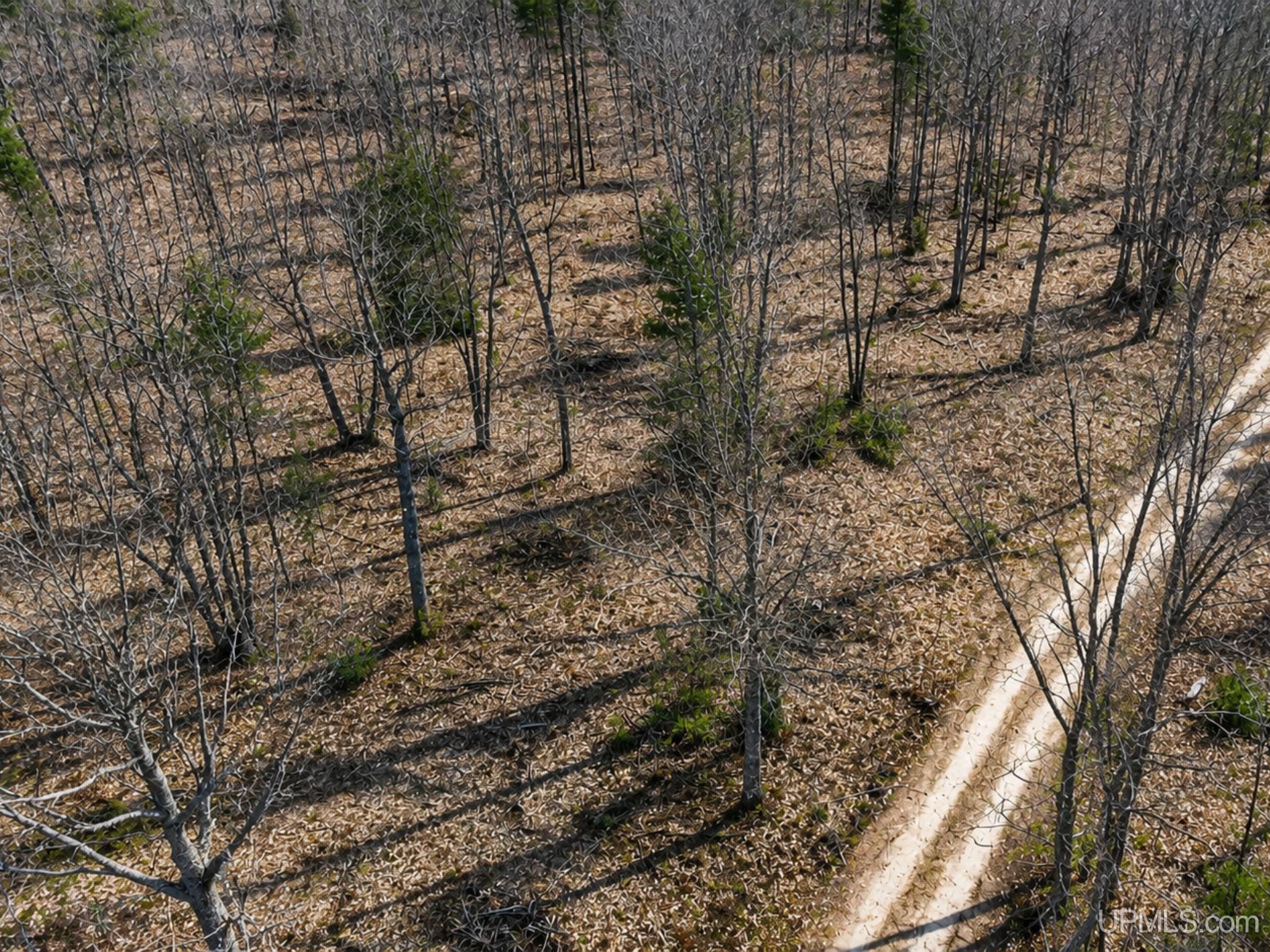 410 Rd Newberry Mi 49868 Road Newberry, MI 49868 - Photo 19 of 36