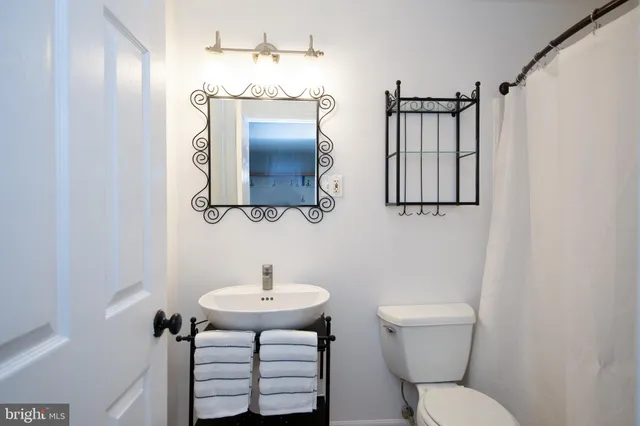 a view of garden with trees