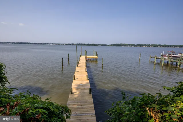 a view of a yard with large trees