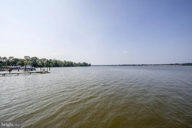 a view of a tree in the middle of a yard